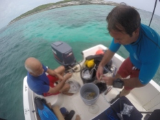 Chris Minns works with Dr. Dahlgren to prepare corals for the new line nursery.